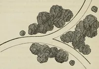 An illustration from How to lay out a garden : intended as a general guide in choosing, forming, or improving an estate, (from a quarter of an acre to a hundred acres in extent) with reference to both design and execution (1860)