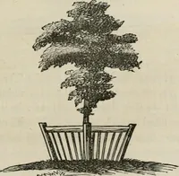 Picture 76 of 164 from How to lay out a garden : intended as a general guide in choosing, forming, or improving an estate, (from a quarter of an acre to a hundred acres in extent) with reference to both design and execution (1860), leaf 198