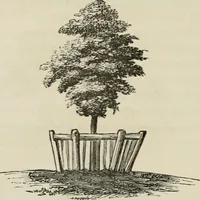 Picture 77 of 164 from How to lay out a garden : intended as a general guide in choosing, forming, or improving an estate, (from a quarter of an acre to a hundred acres in extent) with reference to both design and execution (1860), leaf 199