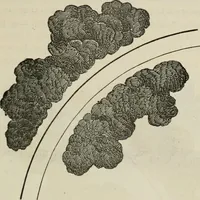 Picture 80 of 164 from How to lay out a garden : intended as a general guide in choosing, forming, or improving an estate, (from a quarter of an acre to a hundred acres in extent) with reference to both design and execution (1860), leaf 204