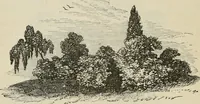 Picture 81 of 164 from How to lay out a garden : intended as a general guide in choosing, forming, or improving an estate, (from a quarter of an acre to a hundred acres in extent) with reference to both design and execution (1860), leaf 205