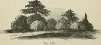 Picture 82 of 164 from How to lay out a garden : intended as a general guide in choosing, forming, or improving an estate, (from a quarter of an acre to a hundred acres in extent) with reference to both design and execution (1860), leaf 205