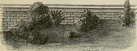 An illustration from How to lay out a garden : intended as a general guide in choosing, forming, or improving an estate, (from a quarter of an acre to a hundred acres in extent) with reference to both design and execution (1860)