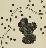 Picture 127 of 164 from How to lay out a garden : intended as a general guide in choosing, forming, or improving an estate, (from a quarter of an acre to a hundred acres in extent) with reference to both design and execution (1860), leaf 326
