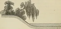 An illustration from How to lay out a garden : intended as a general guide in choosing, forming, or improving an estate, (from a quarter of an acre to a hundred acres in extent) with reference to both design and execution (1860)