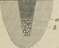 Picture 159 of 164 from How to lay out a garden : intended as a general guide in choosing, forming, or improving an estate, (from a quarter of an acre to a hundred acres in extent) with reference to both design and execution (1860), leaf 408