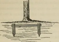 Picture 162 of 164 from How to lay out a garden : intended as a general guide in choosing, forming, or improving an estate, (from a quarter of an acre to a hundred acres in extent) with reference to both design and execution (1860), leaf 430