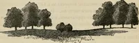An illustration from How to lay out a garden : intended as a general guide in choosing, forming, or improving an estate, (from a quarter of an acre to a hundred acres in extent) with reference to both design and execution (1860)