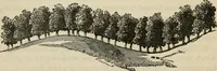 An illustration from How to lay out a garden : intended as a general guide in choosing, forming, or improving an estate, (from a quarter of an acre to a hundred acres in extent) with reference to both design and execution (1860)