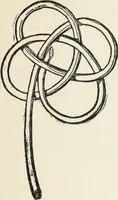 An illustration from How to make baskets (1911)