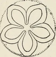 An illustration from How to make baskets (1911)