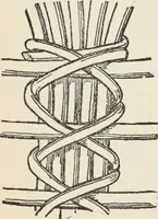 An illustration from How to make baskets (1911)
