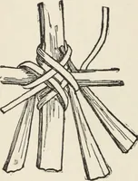 An illustration from How to make baskets (1911)