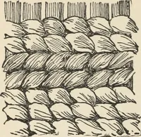 An illustration from How to make baskets (1911)