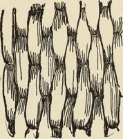 An illustration from How to make baskets (1911)