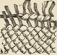 An illustration from How to make baskets (1911)