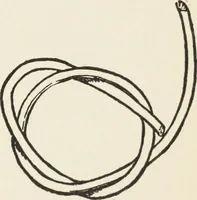 An illustration from How to make baskets (1911)