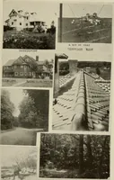 An illustration from How to make a country place; an account of the successes and the mistakes of an amateur in thirty-five years of farming, building and development: together with a practical plan for securing a home and an independent income, starting with small capital (1914)