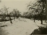 An illustration from How to make a country place; an account of the successes and the mistakes of an amateur in thirty-five years of farming, building and development: together with a practical plan for securing a home and an independent income, starting with small capital (1914)
