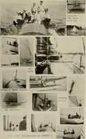 An illustration from How to make a country place; an account of the successes and the mistakes of an amateur in thirty-five years of farming, building and development: together with a practical plan for securing a home and an independent income, starting with small capital (1914)