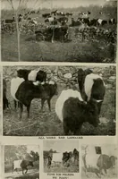An illustration from How to make a country place; an account of the successes and the mistakes of an amateur in thirty-five years of farming, building and development: together with a practical plan for securing a home and an independent income, starting with small capital (1914)