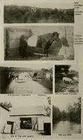 An illustration from How to make a country place; an account of the successes and the mistakes of an amateur in thirty-five years of farming, building and development: together with a practical plan for securing a home and an independent income, starting with small capital (1914)