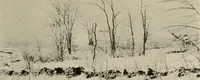 An illustration from How to make a country place; an account of the successes and the mistakes of an amateur in thirty-five years of farming, building and development: together with a practical plan for securing a home and an independent income, starting with small capital (1914)