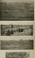 An illustration from How to make a country place; an account of the successes and the mistakes of an amateur in thirty-five years of farming, building and development: together with a practical plan for securing a home and an independent income, starting with small capital (1914)