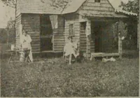An illustration from How to make a country place; an account of the successes and the mistakes of an amateur in thirty-five years of farming, building and development: together with a practical plan for securing a home and an independent income, starting with small capital (1914)