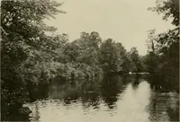 An illustration from How to make a country place; an account of the successes and the mistakes of an amateur in thirty-five years of farming, building and development: together with a practical plan for securing a home and an independent income, starting with small capital (1914)