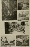 An illustration from How to make a country place; an account of the successes and the mistakes of an amateur in thirty-five years of farming, building and development: together with a practical plan for securing a home and an independent income, starting with small capital (1914)