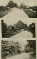 An illustration from How to make a country place; an account of the successes and the mistakes of an amateur in thirty-five years of farming, building and development: together with a practical plan for securing a home and an independent income, starting with small capital (1914)