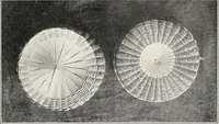 Picture 122 of 196 from How to make Indian and other baskets (1903), leaf 100