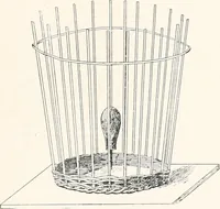 Picture 148 of 196 from How to make Indian and other baskets (1903), leaf 122