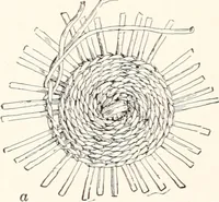 An illustration from How to make Indian and other baskets (1903)