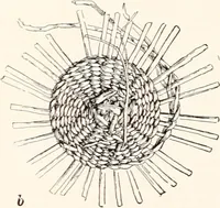 Picture 168 of 196 from How to make Indian and other baskets (1903), leaf 131