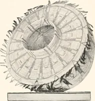 Picture 176 of 196 from How to make Indian and other baskets (1903), leaf 134