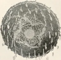 Picture 181 of 196 from How to make Indian and other baskets (1903), leaf 137