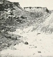 Picture 191 of 196 from How to make Indian and other baskets (1903), leaf 150