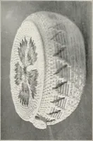 Picture 16 of 196 from How to make Indian and other baskets (1903), leaf 23