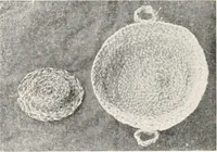 Picture 47 of 196 from How to make Indian and other baskets (1903), leaf 48