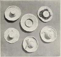 Picture 52 of 196 from How to make Indian and other baskets (1903), leaf 54