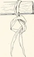 An illustration from How to make Indian and other baskets (1903)