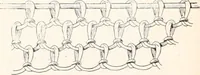An illustration from How to make Indian and other baskets (1903)