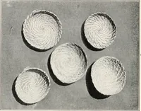 Picture 66 of 196 from How to make Indian and other baskets (1903), leaf 61