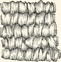 Picture 69 of 196 from How to make Indian and other baskets (1903), leaf 64