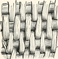 Picture 70 of 196 from How to make Indian and other baskets (1903), leaf 64