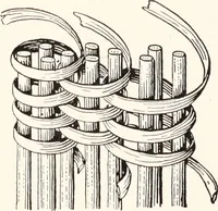 An illustration from How to make Indian and other baskets (1903)