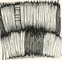 An illustration from How to make Indian and other baskets (1903)