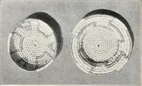 Picture 82 of 196 from How to make Indian and other baskets (1903), leaf 71